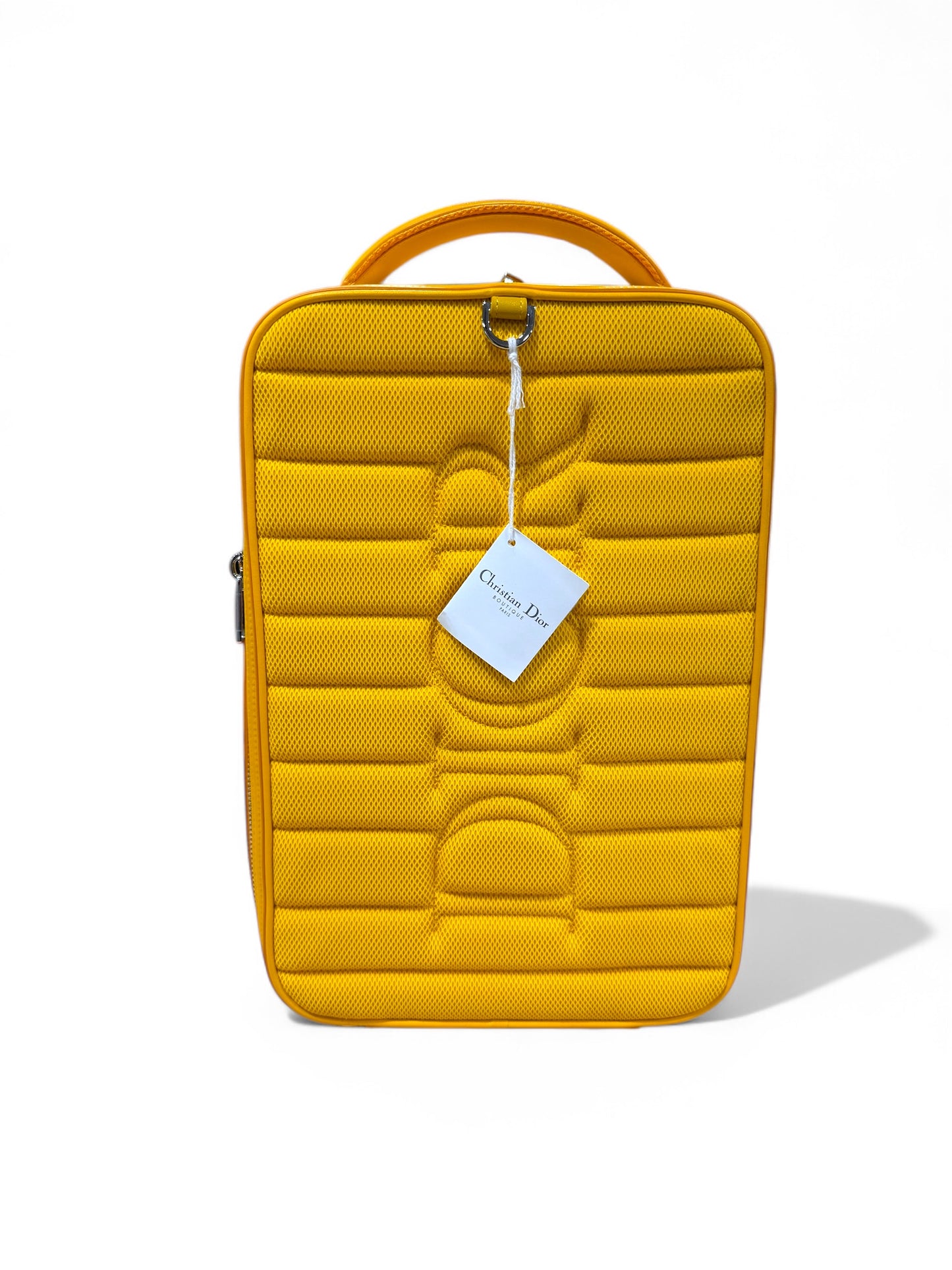 Dior World Tour Shoe Case Bag "yellow galaxy"