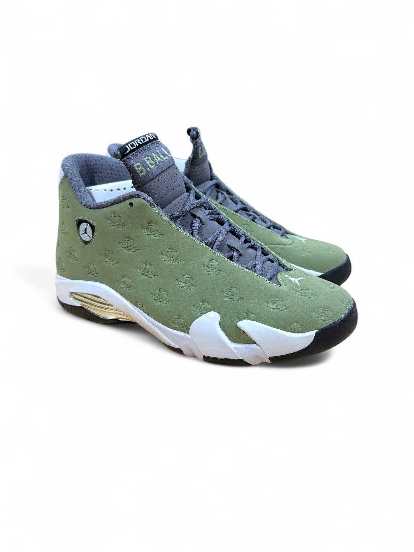 Oregon Air Jordan 14 PE (Green)