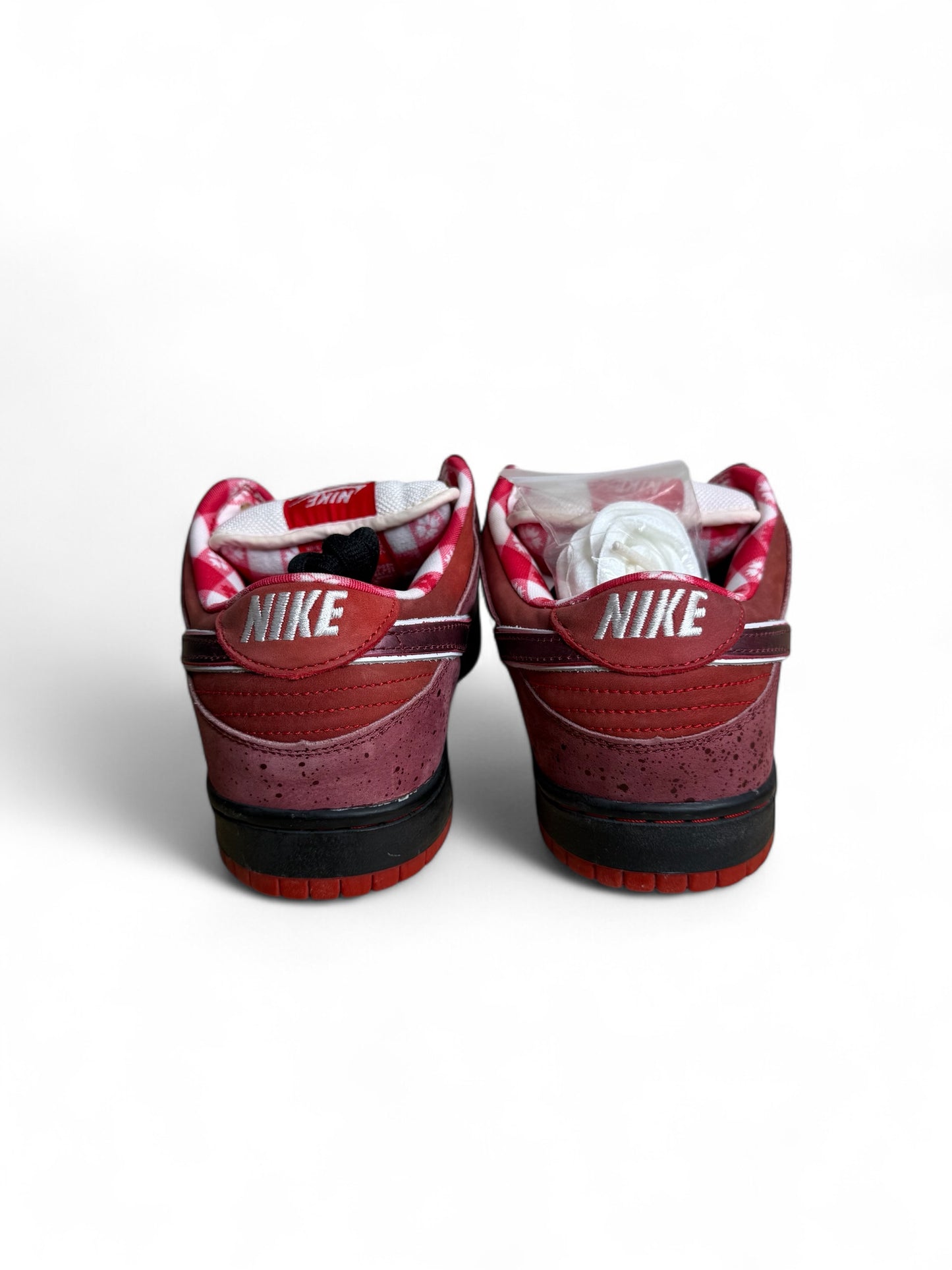 Concepts x Nike Dunk Low SB Red Lobster