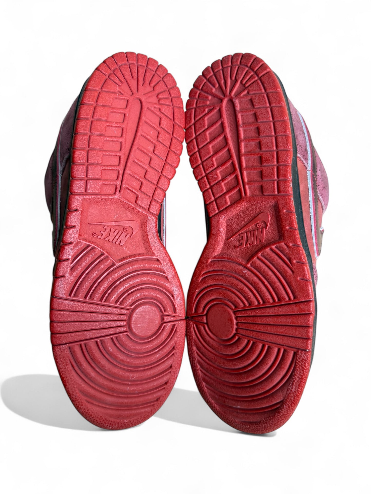 Concepts x Nike Dunk Low SB Red Lobster
