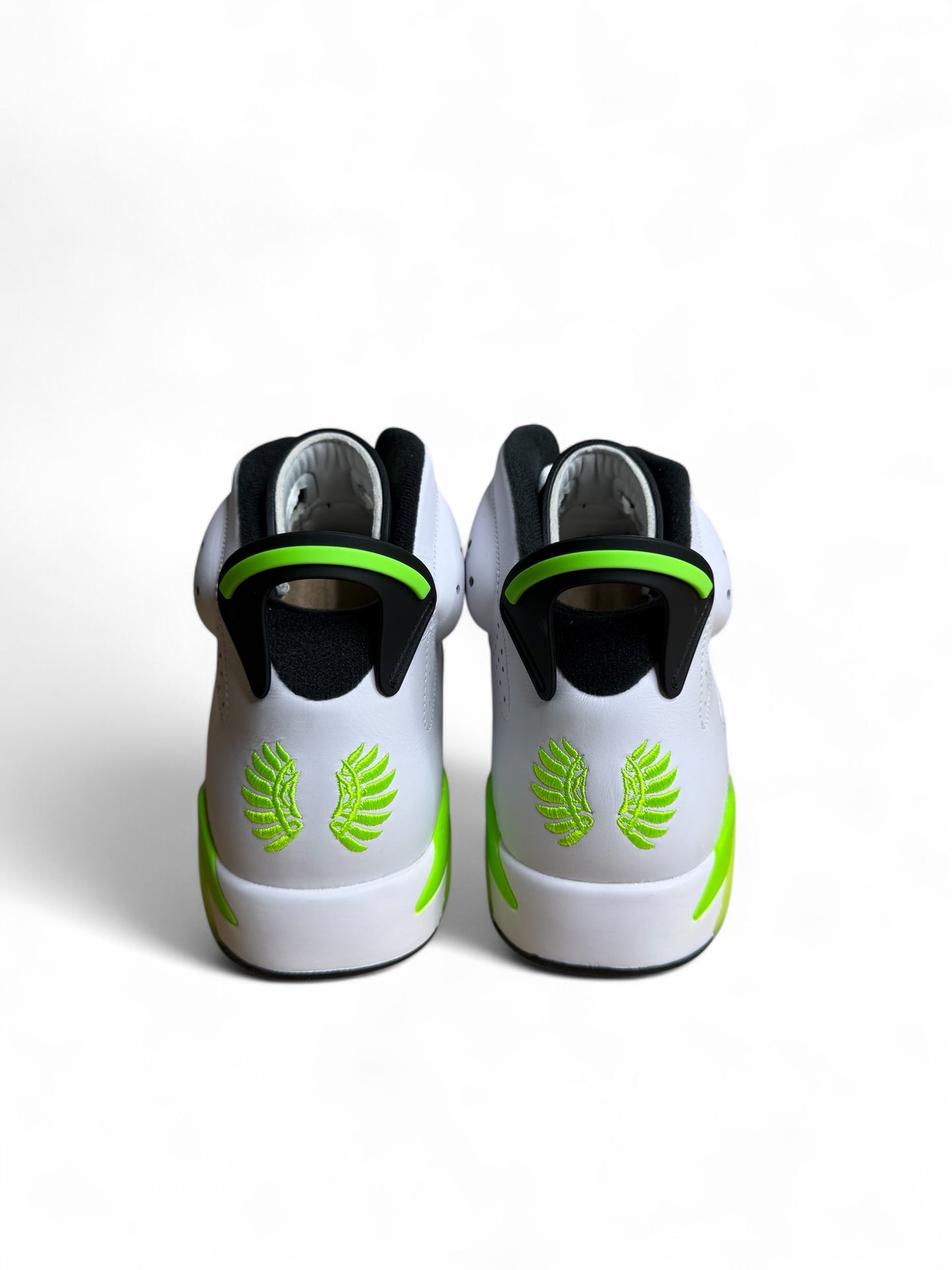 Oregon Air Jordan 6 PE (White)