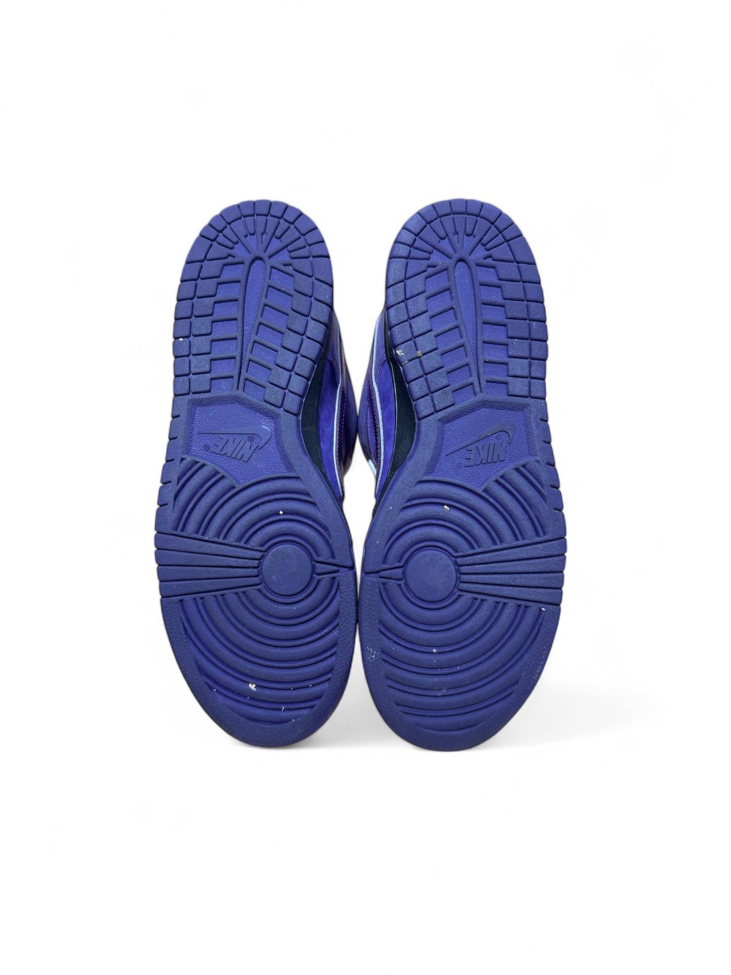 Concepts x Nike Dunk Low SB Purple Lobster (Pre-Owned)