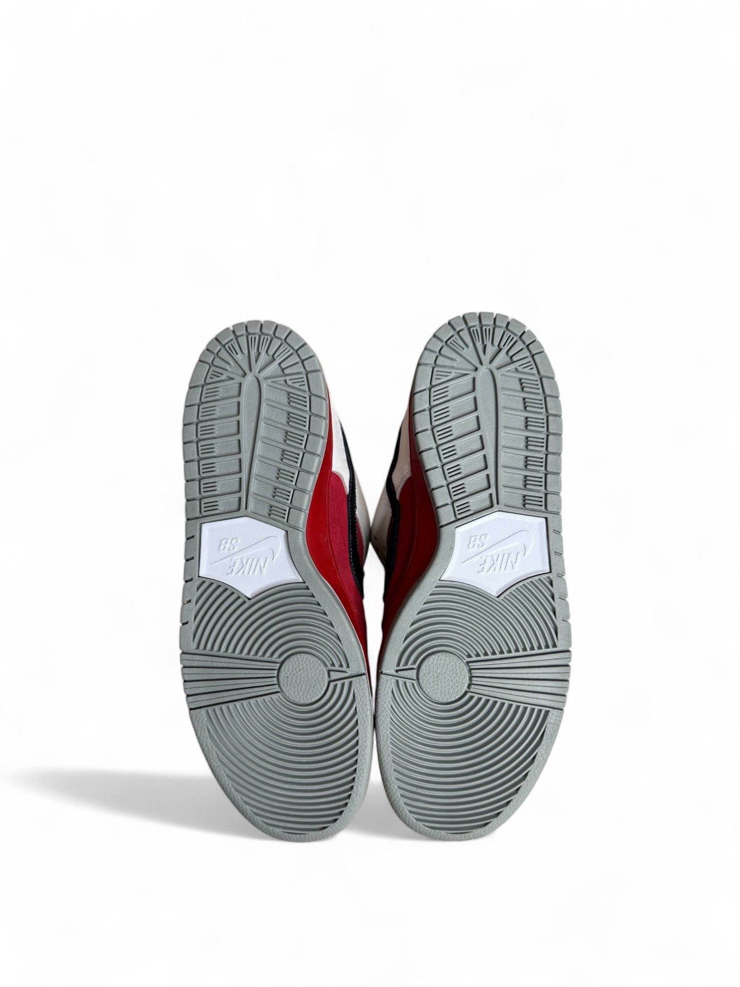 Roller Derby Nike SB Dunk Low