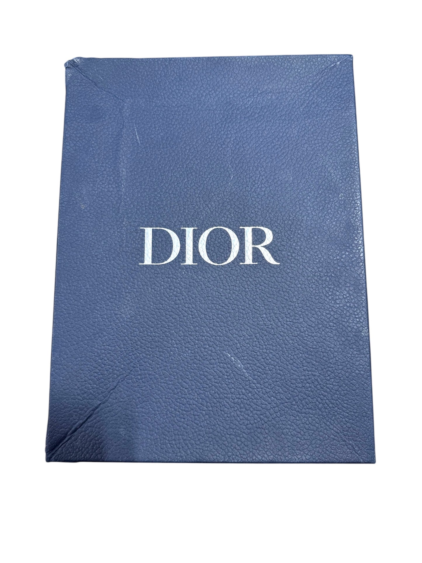 Dior B22 Trainer