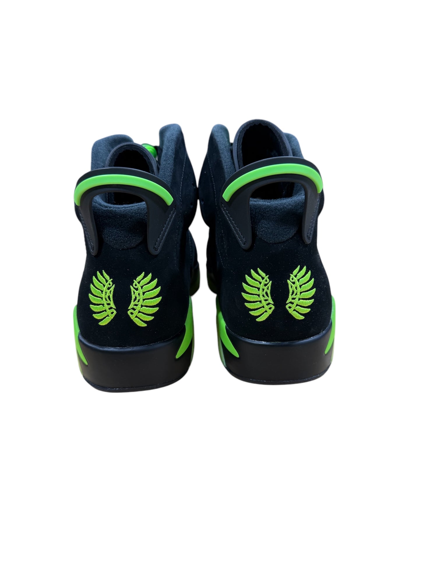 Oregon Air Jordan 6 PE (Black)
