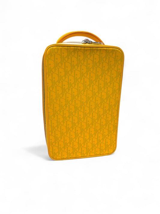Dior World Tour Shoe Case Bag "yellow galaxy"
