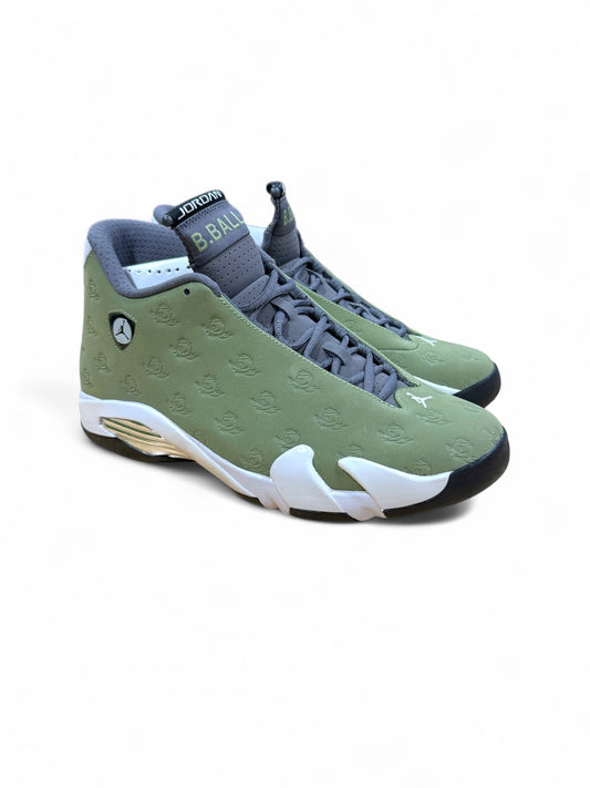 Oregon Air Jordan 14 PE (Green)