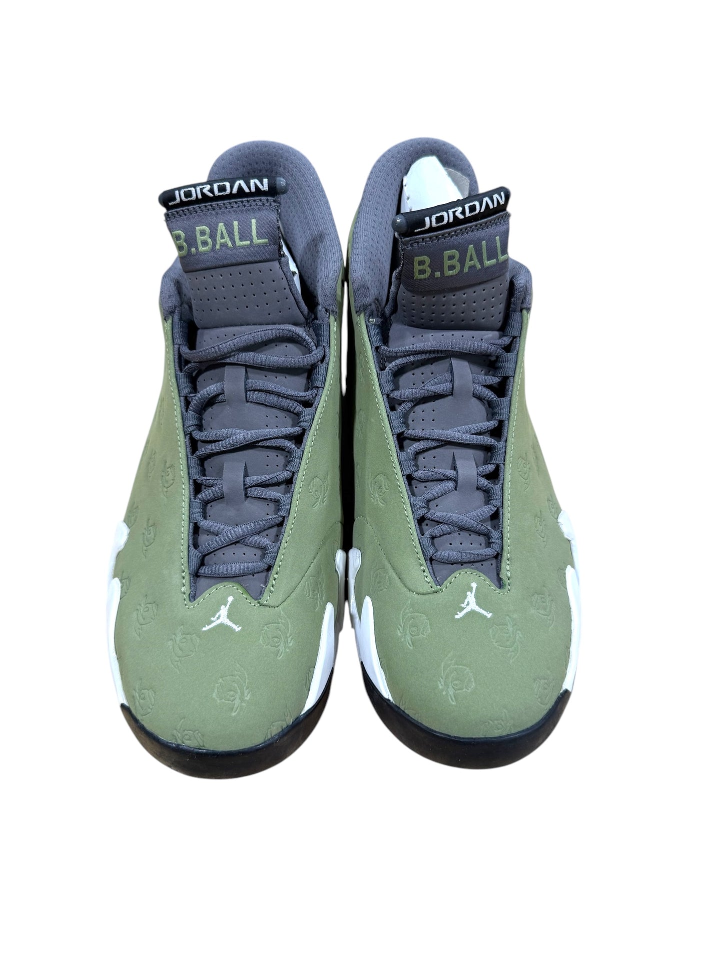 Oregon Air Jordan 14 PE (Green)