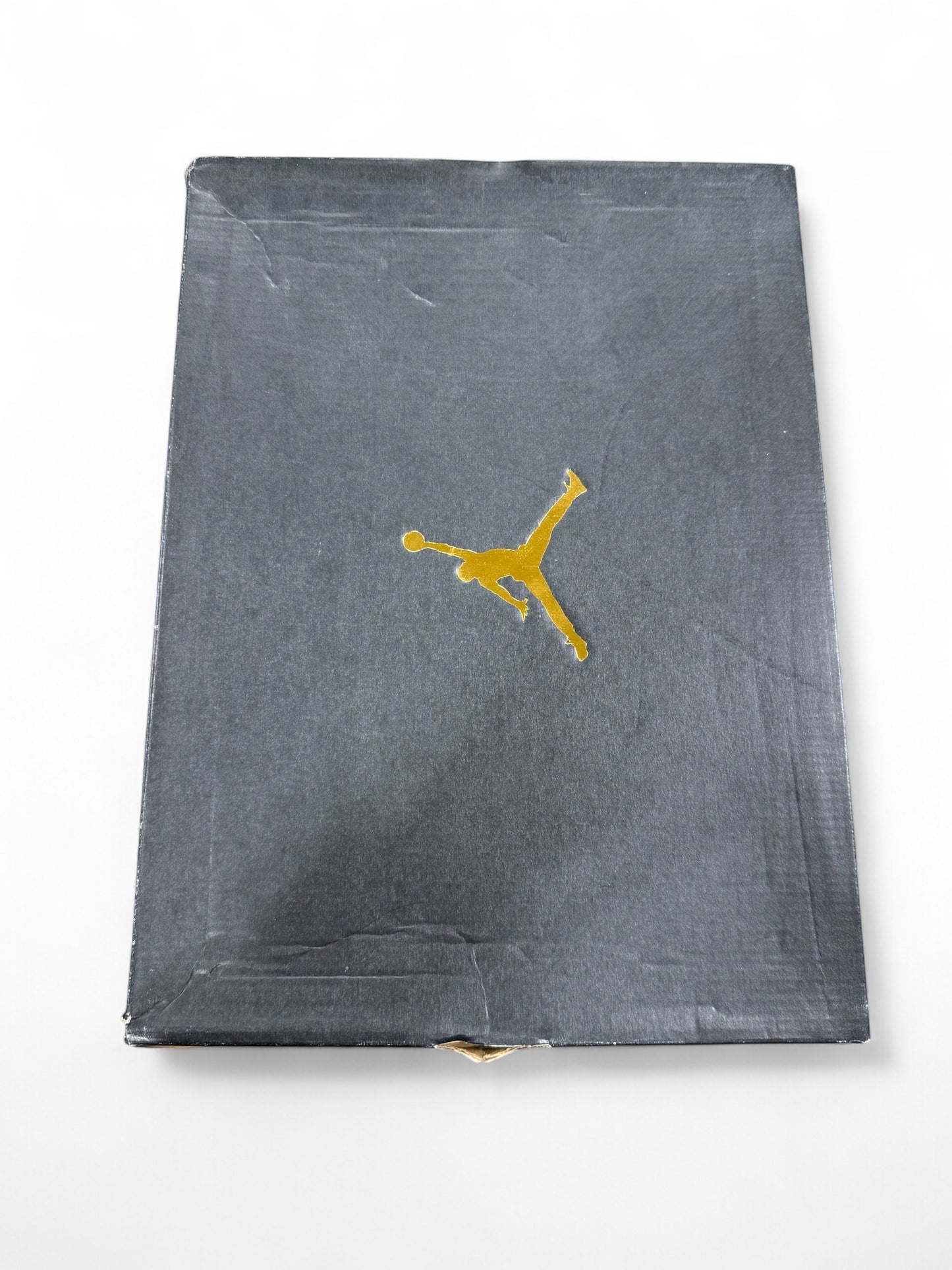 Wild N' Out Jordan 7 Sample