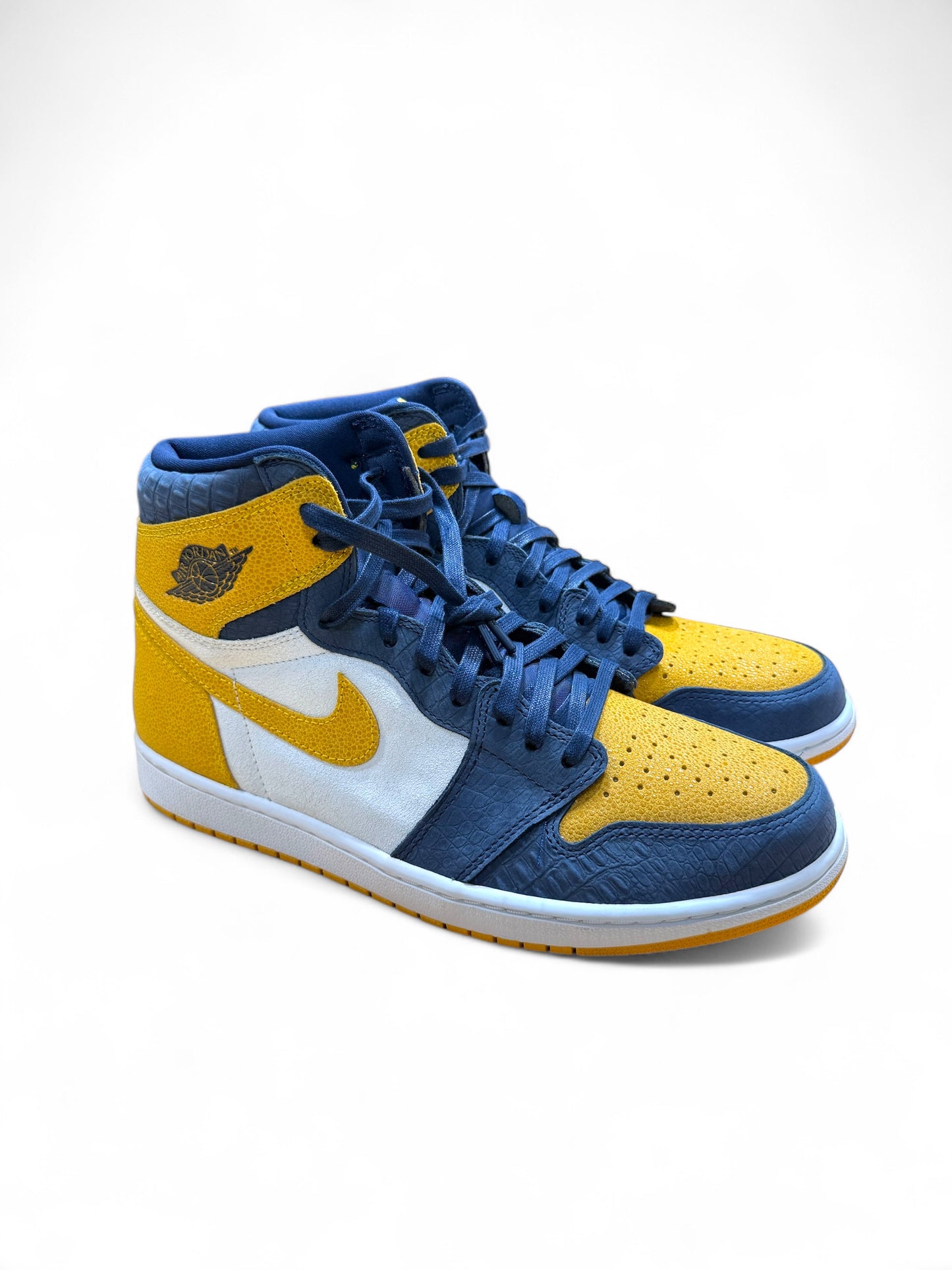 Air Jordan 1 Michigan PE