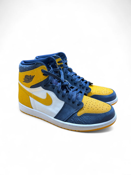 Air Jordan 1 Michigan PE
