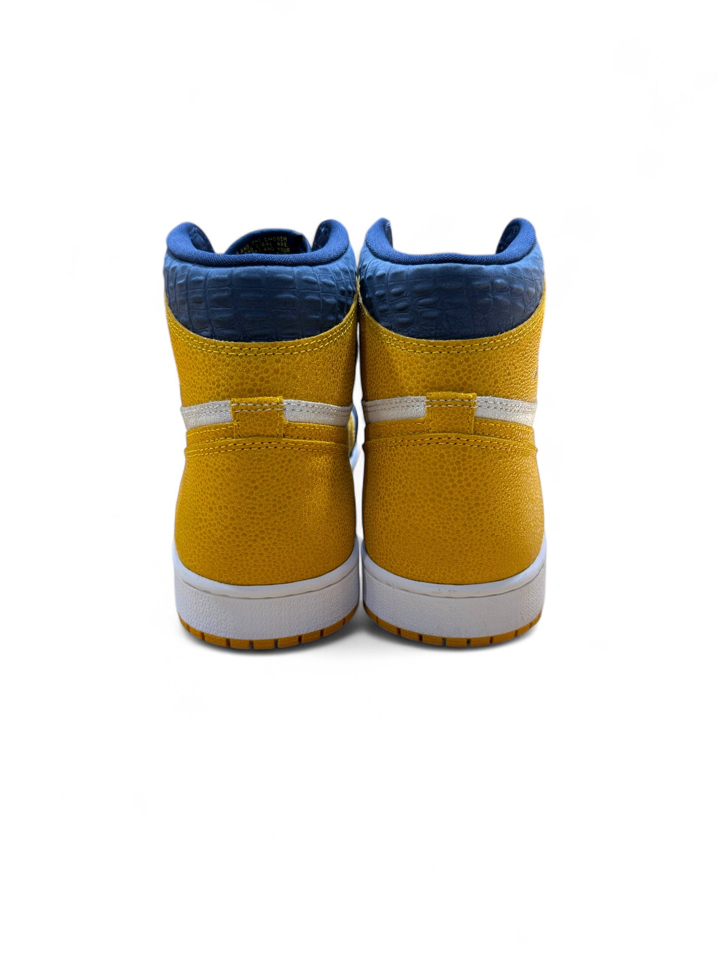 Air Jordan 1 Michigan PE