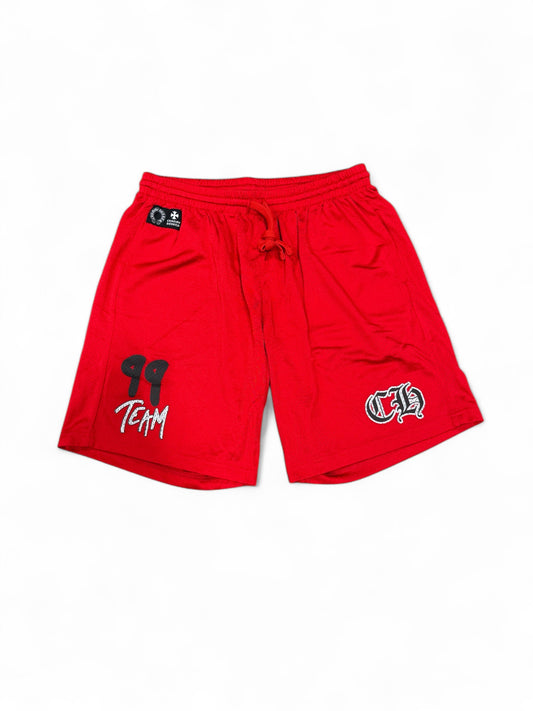 Chrome Hearts x Matty boy mesh shorts