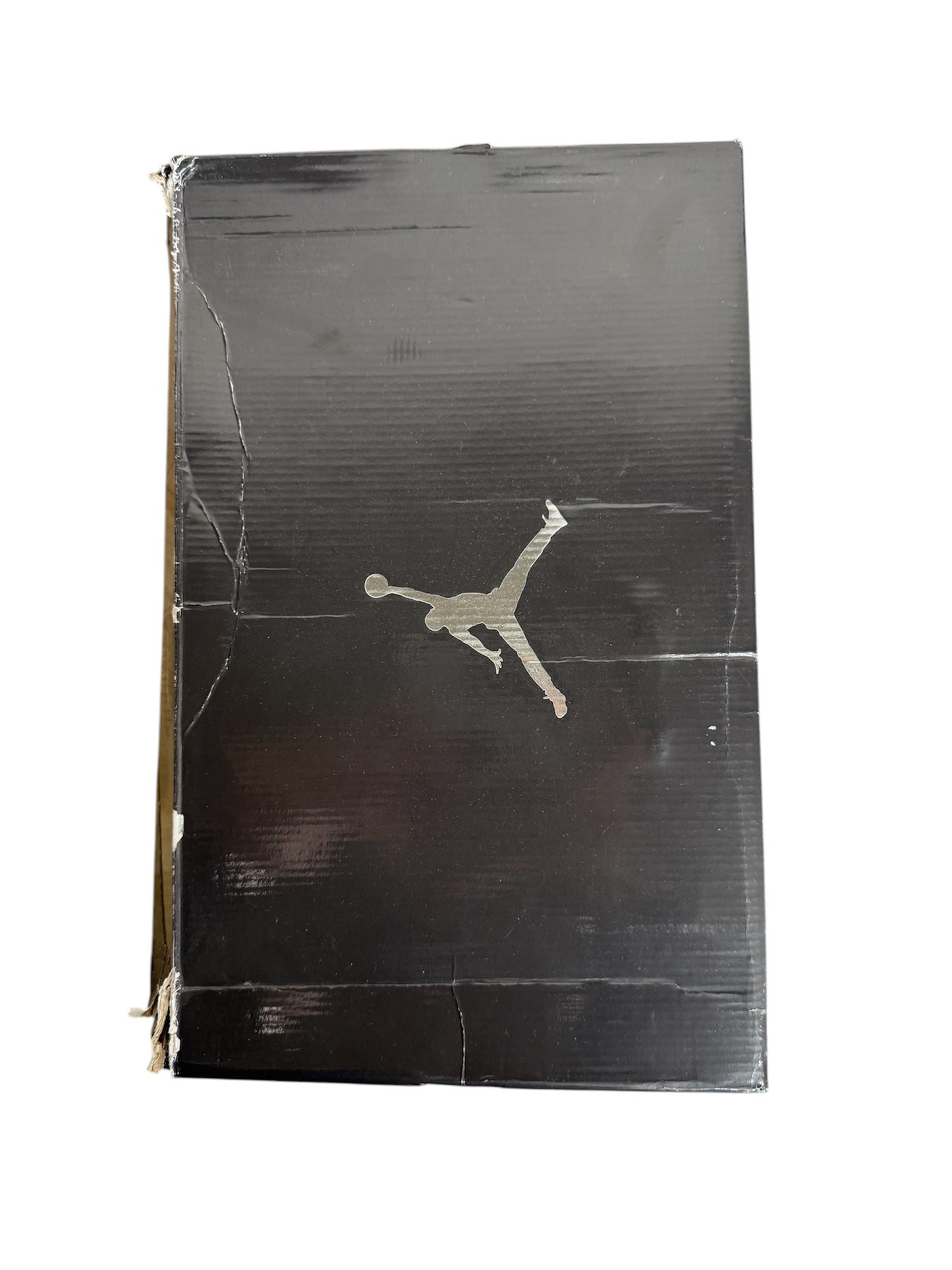 Oregon Player Exclusive Air Jordan 3 "Pitcrew"