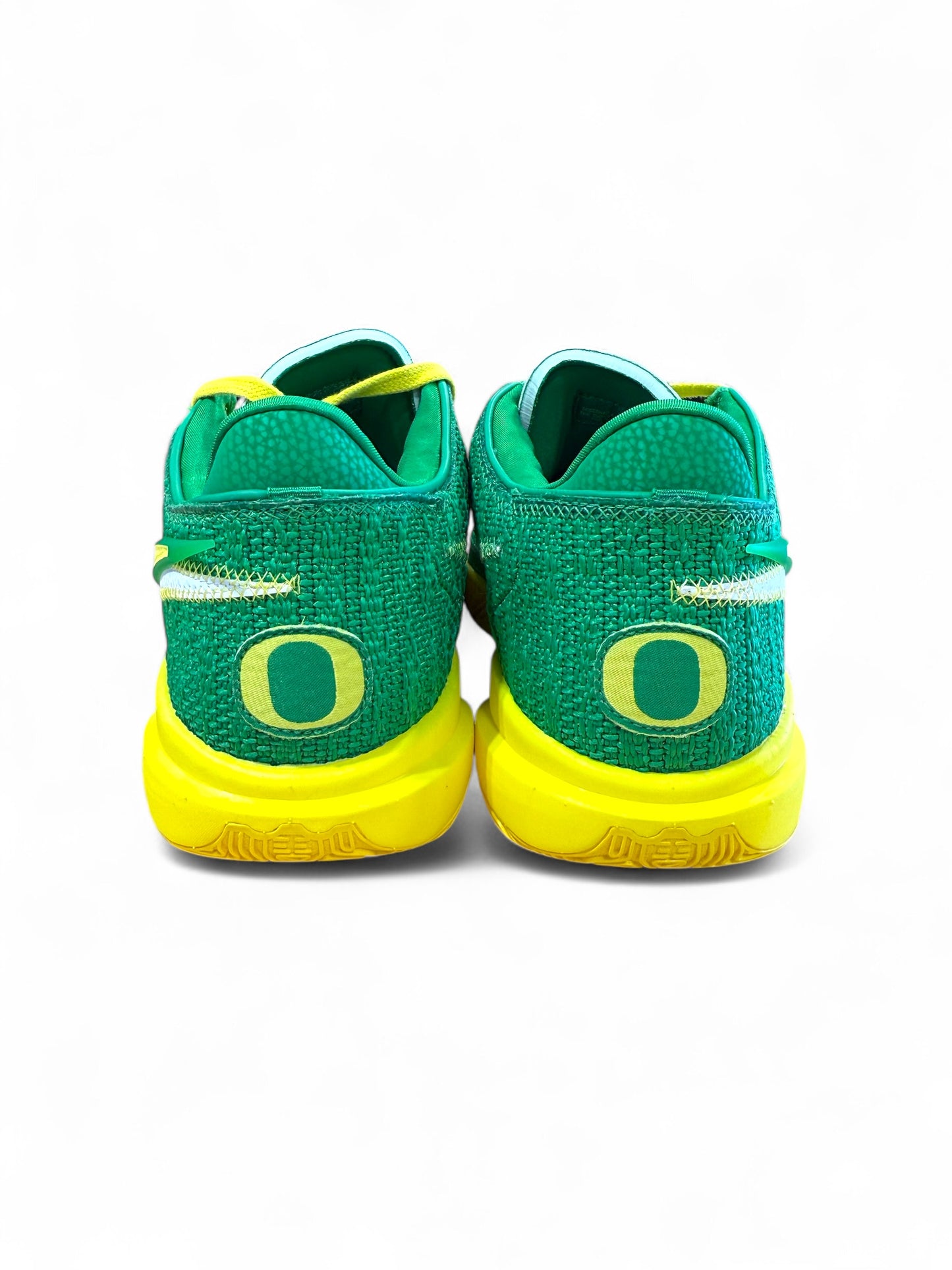 Oregon X Lebron Zoom 20 XX