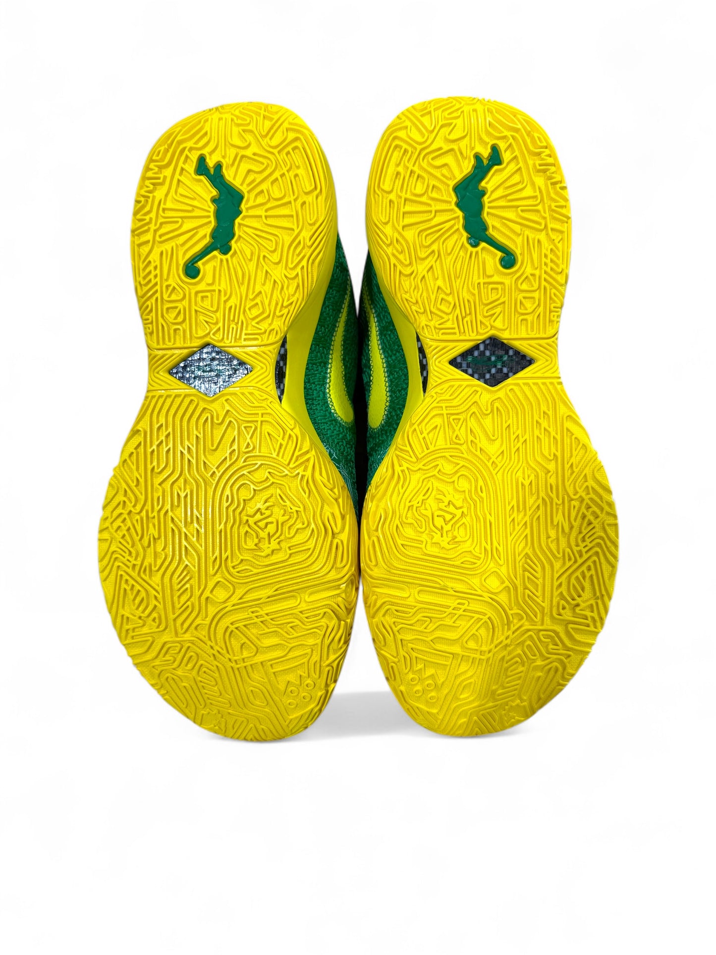 Oregon X Lebron Zoom 20 XX