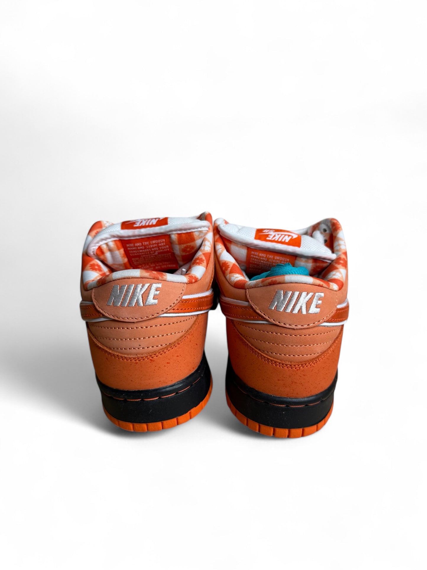 Concepts x Dunk Low SB Orange Lobster - Special Box