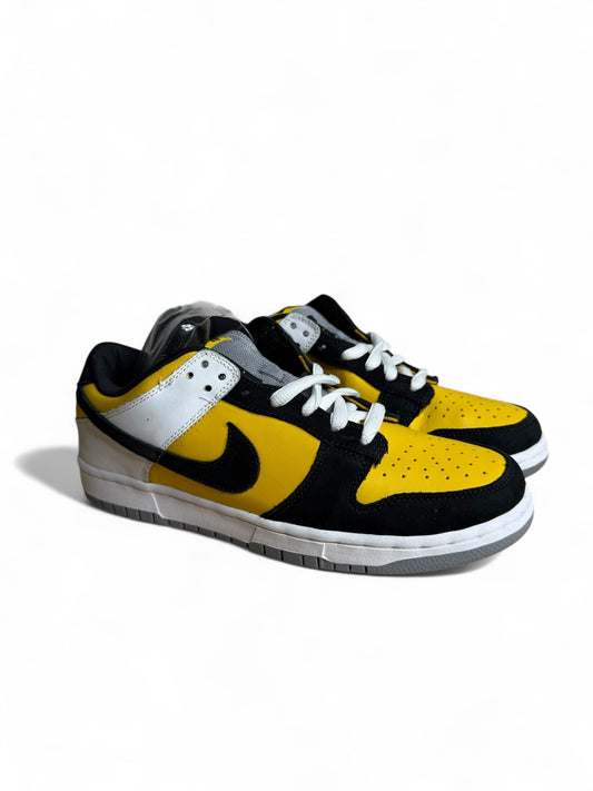 Bic Nike SB Dunk Low