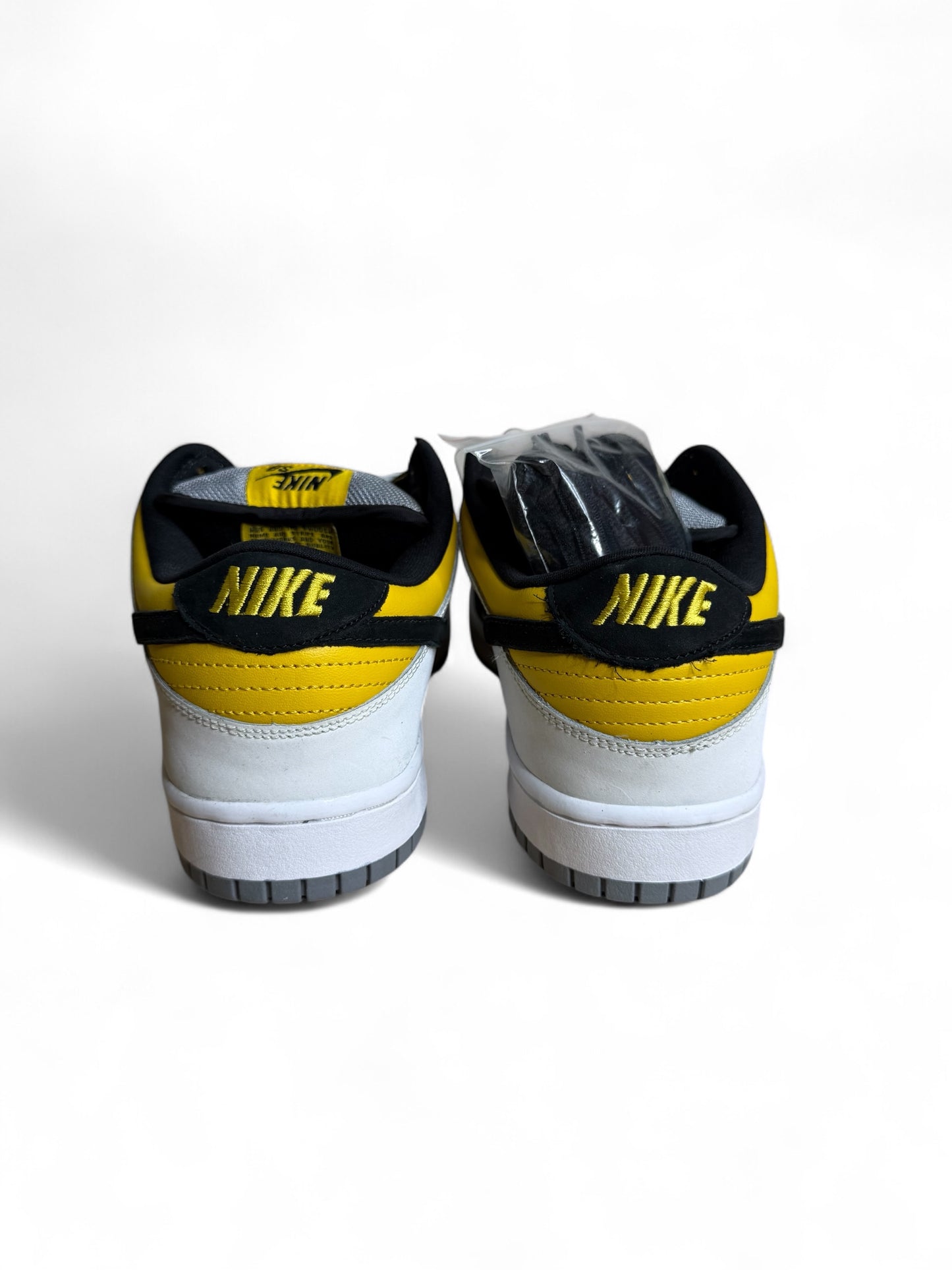Bic Nike SB Dunk Low