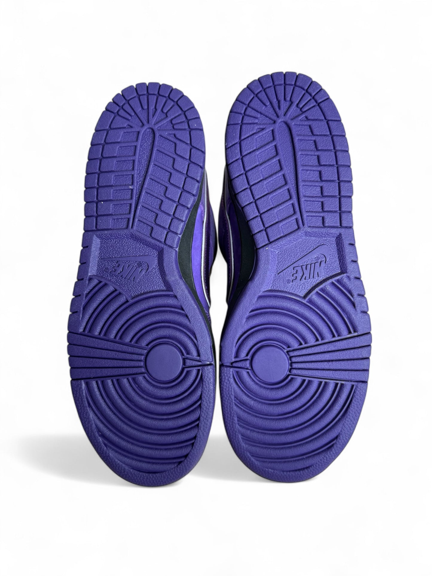 Concepts x Nike Dunk Low SB Purple Lobster