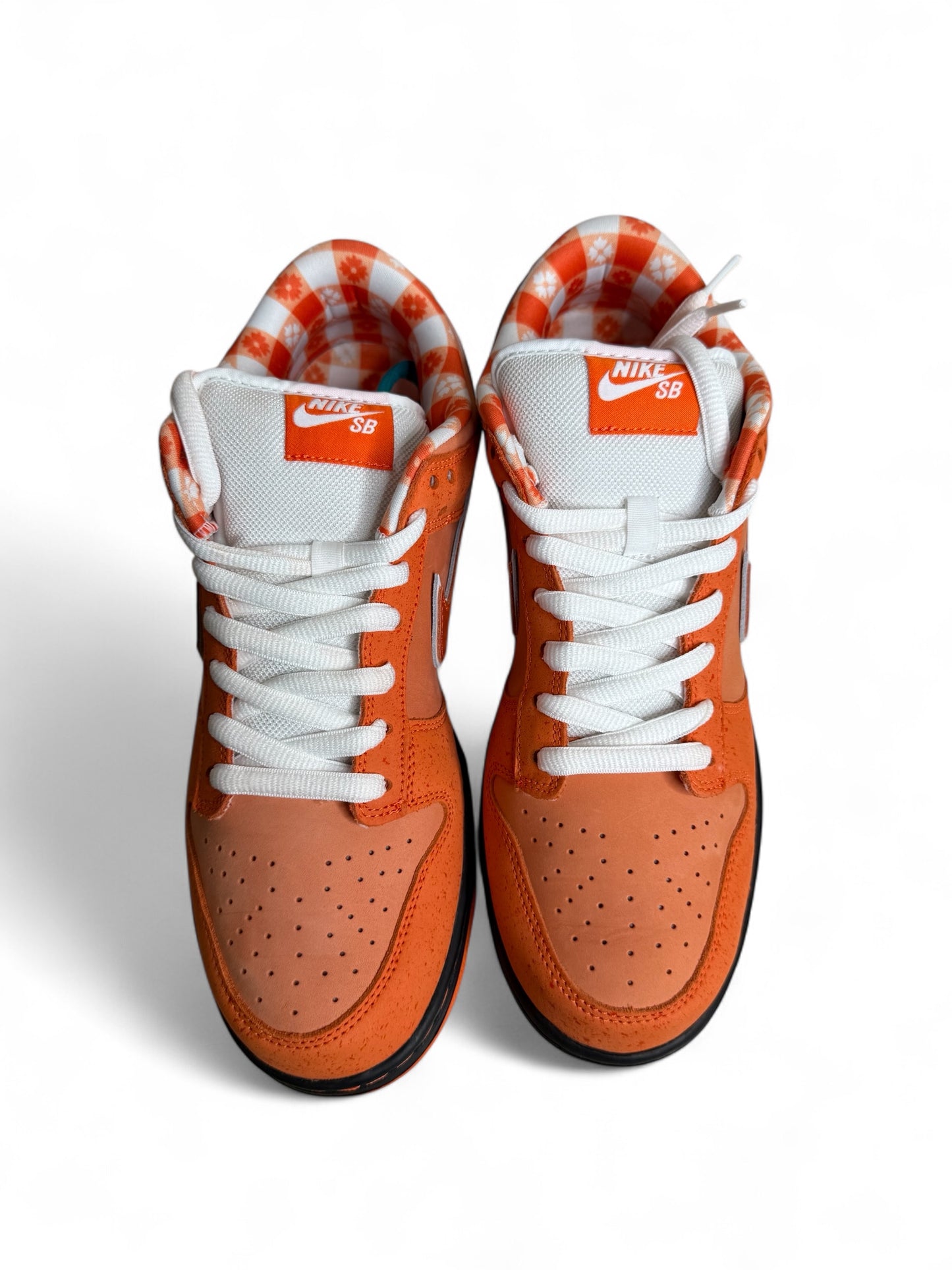 Concepts x Nike SB Dunk Low Orange Lobster