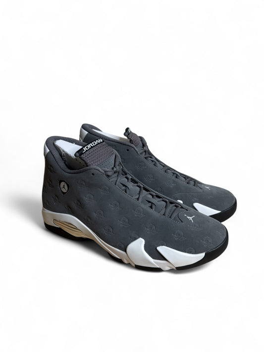 Oregon Air Jordan 14 PE (Grey)