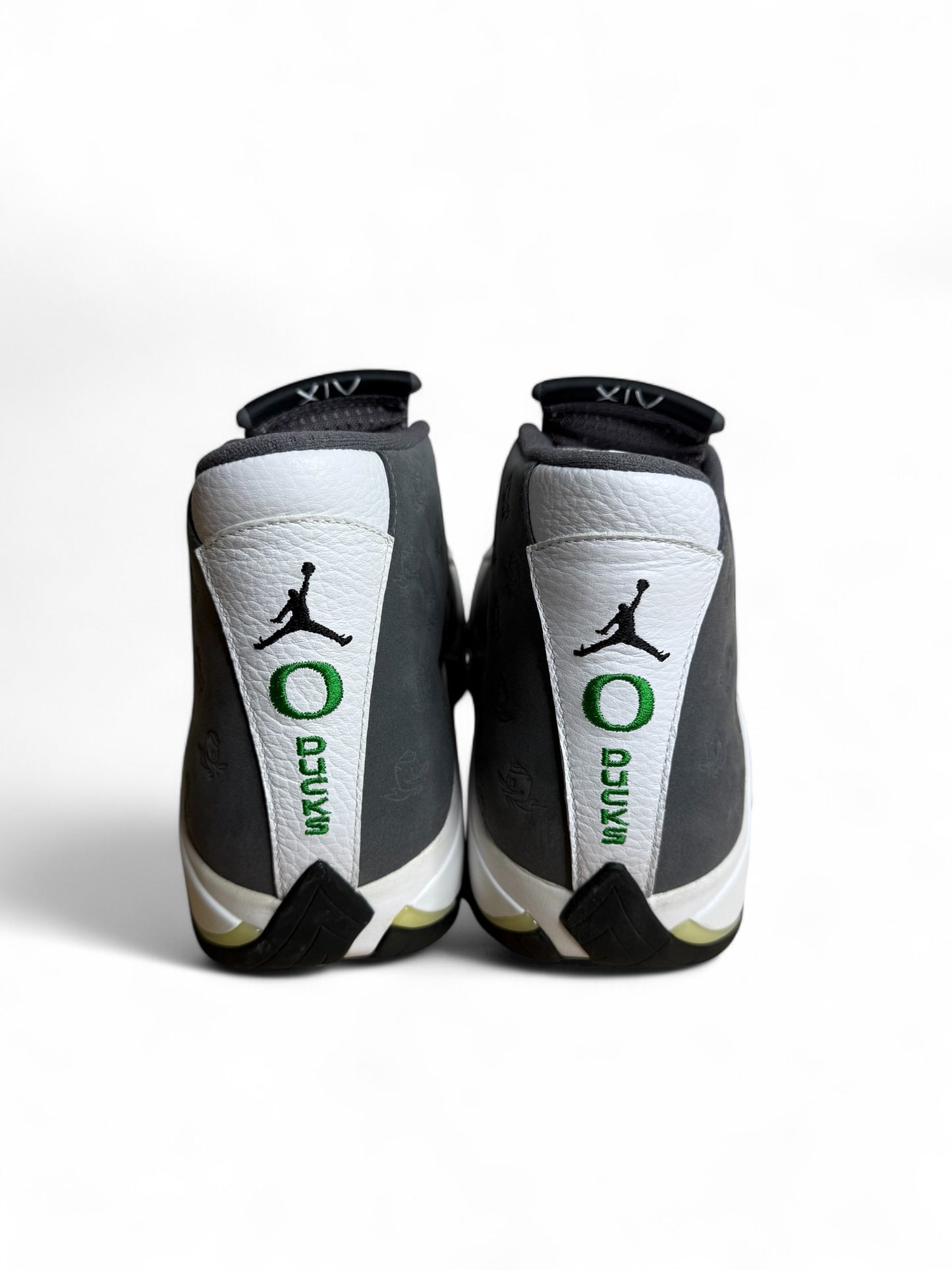 Oregon Air Jordan 14 PE (Grey)