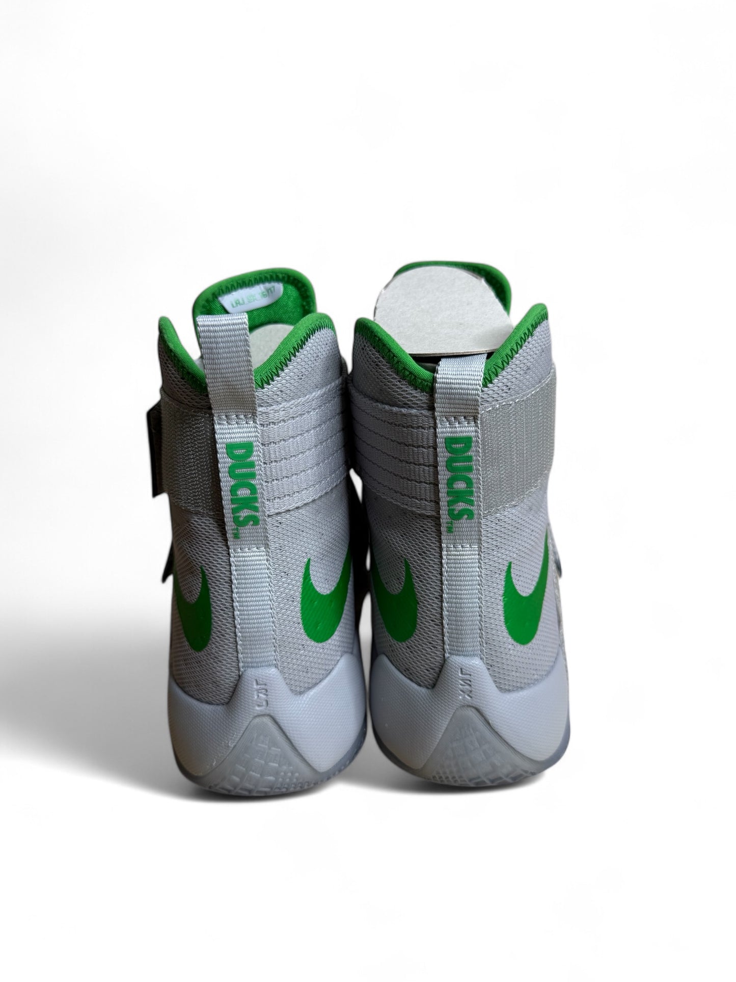 Oregon x Lebron 10 PE (Grey)