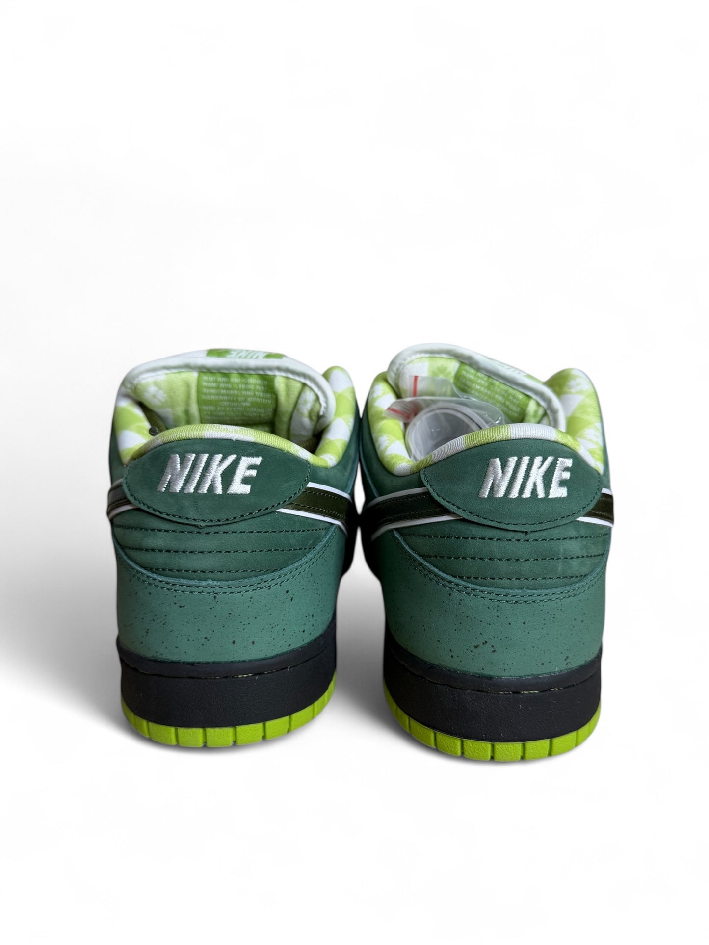 Green Lobster Nike SB Dunk Low