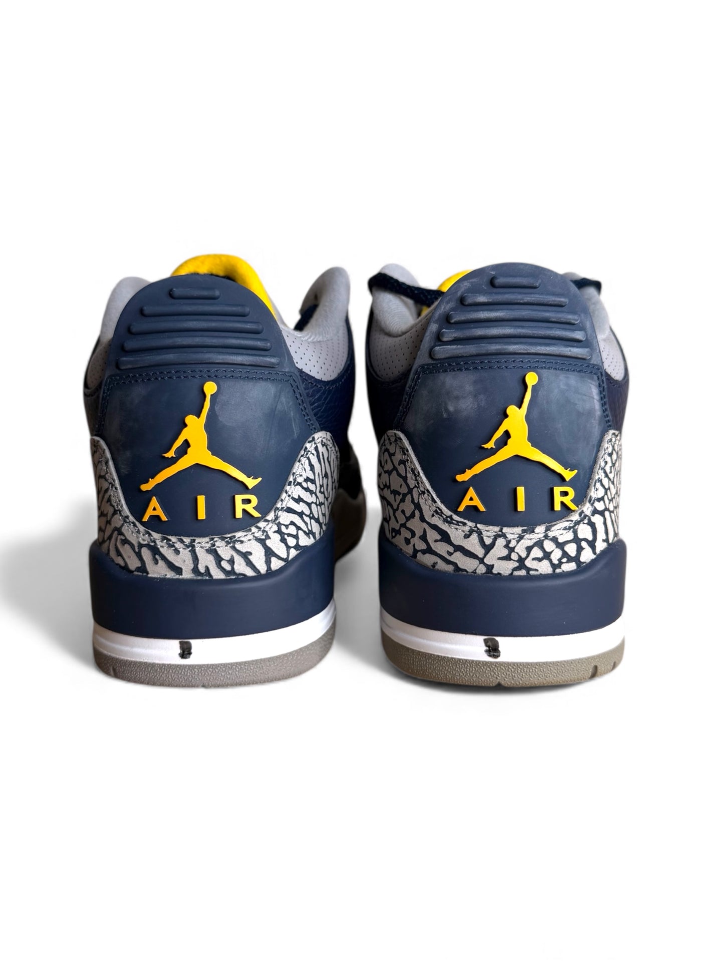 Michigan Air Jordan 3 Player Exclusive (PE)