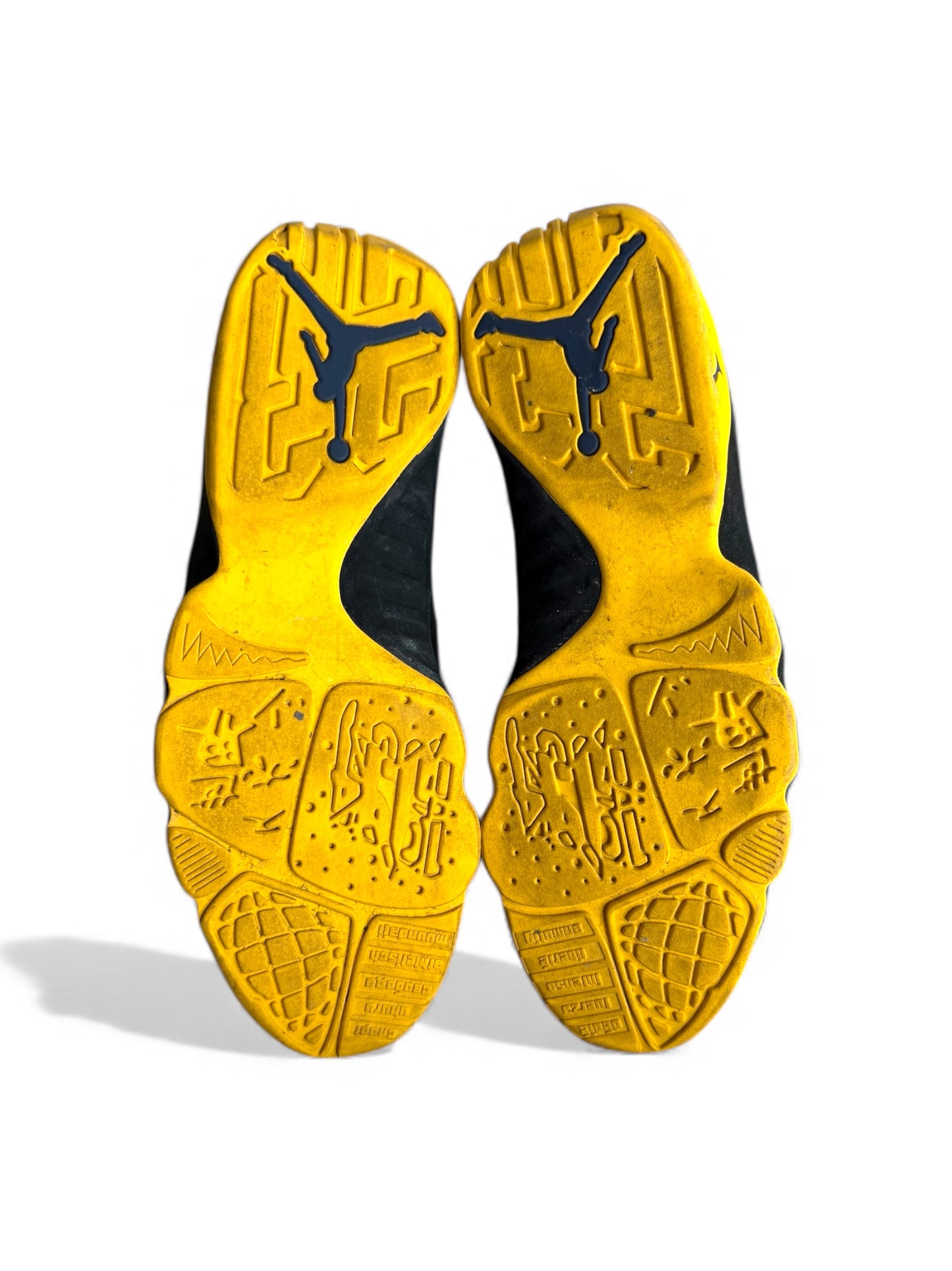 Michigan Air Jordan 9 Player Exclusive Sample (PE)