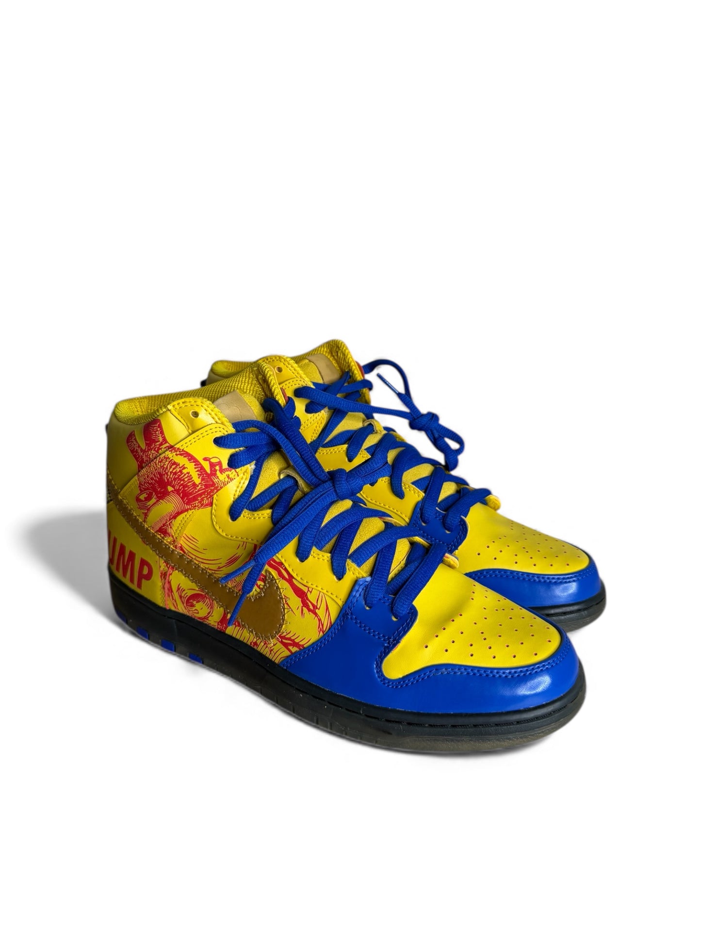 Finnigan Mooney 15th Anniversary Doernbecher SB Dunk High