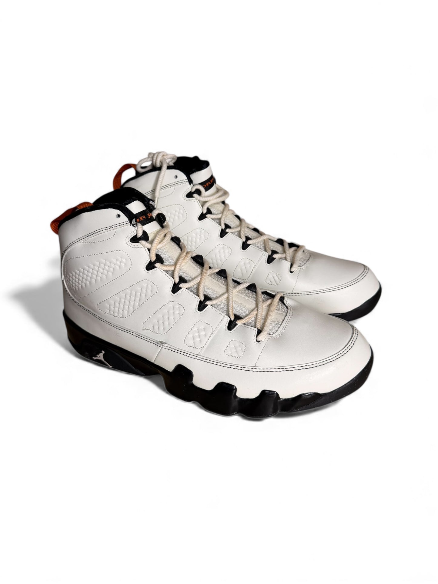 Oregon State Air Jordan 9 Player Exclusive Sample