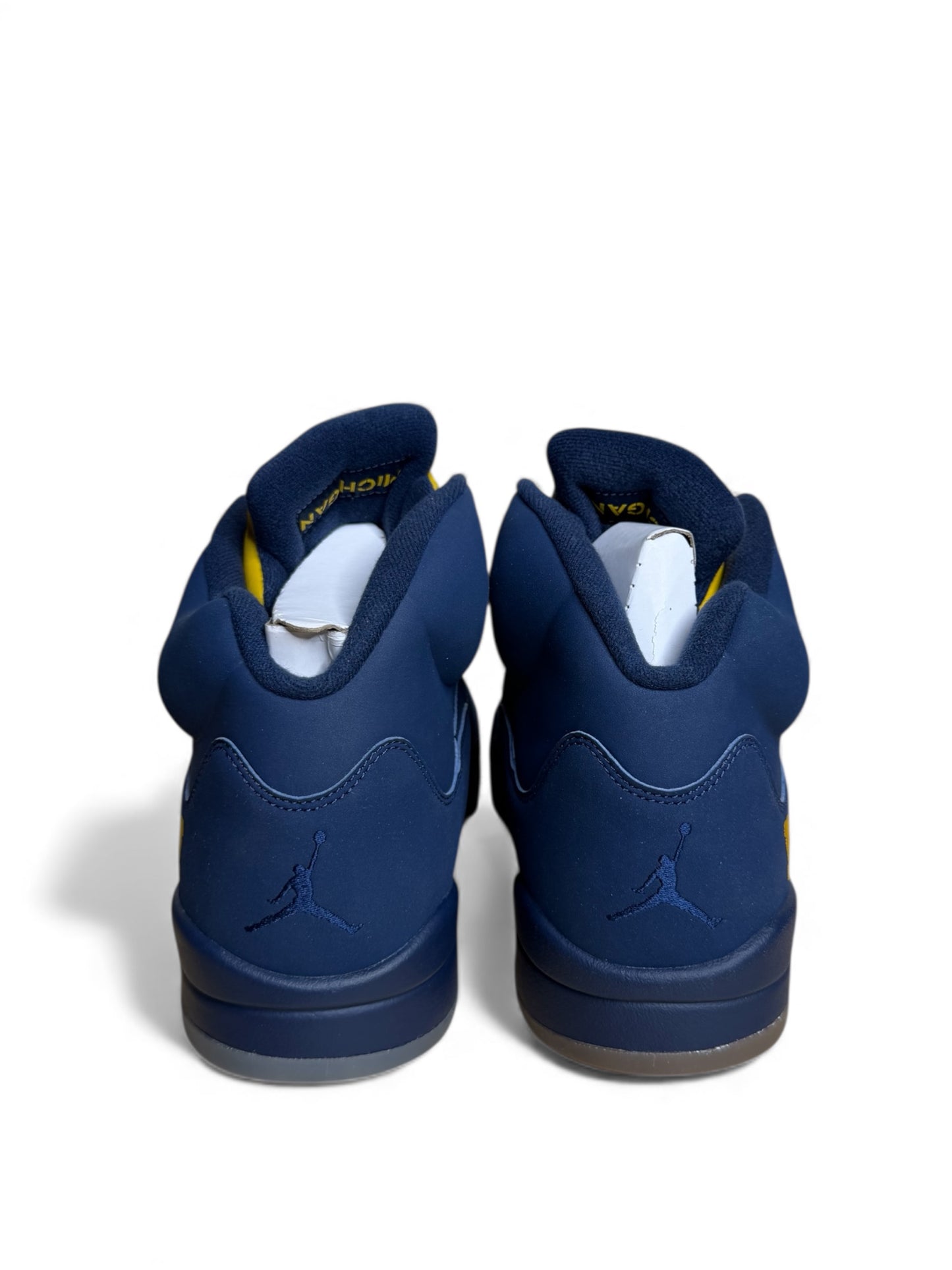 Michigan Air Jordan 5 PE 2016