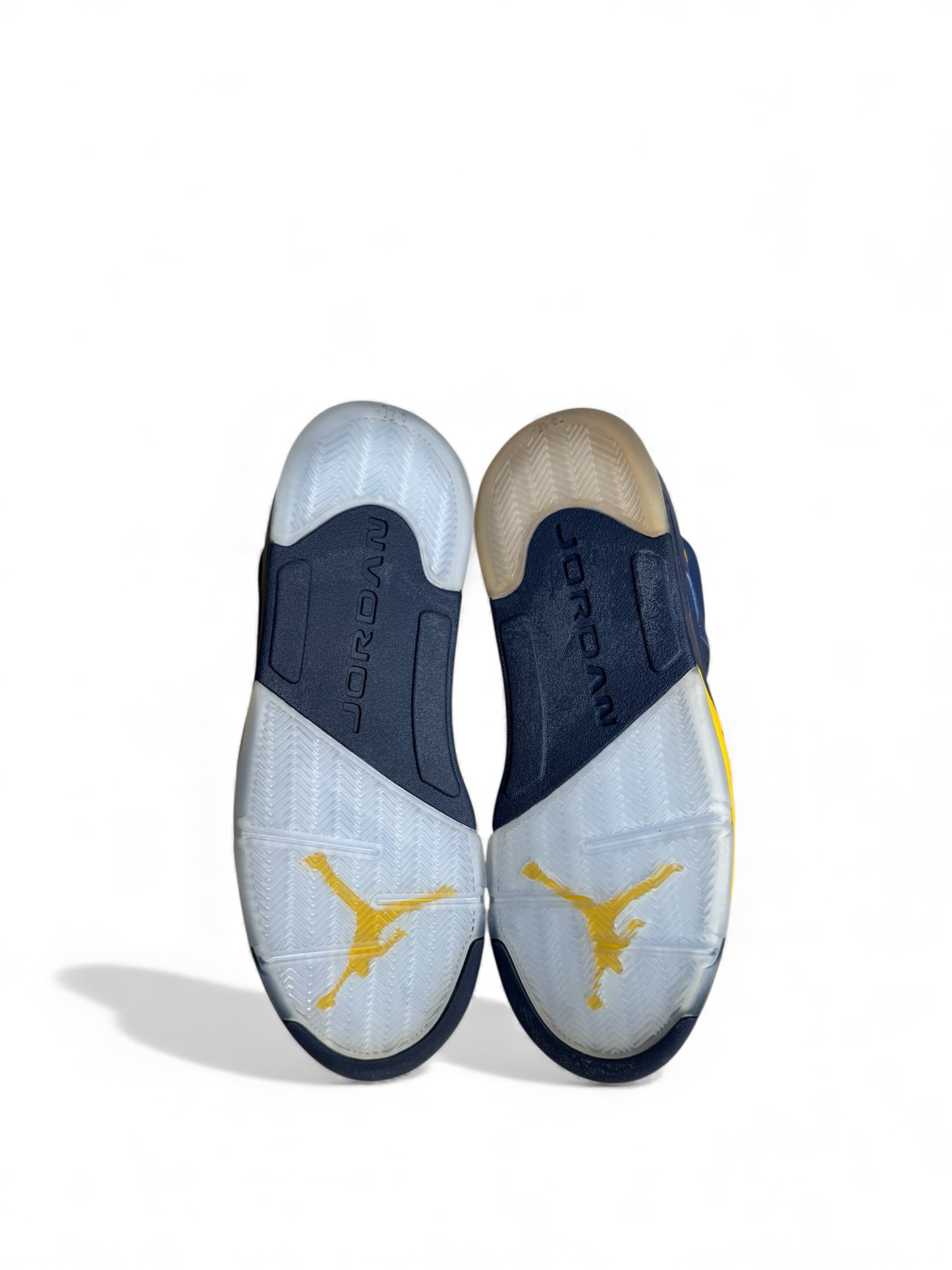 Michigan Air Jordan 5 PE 2016