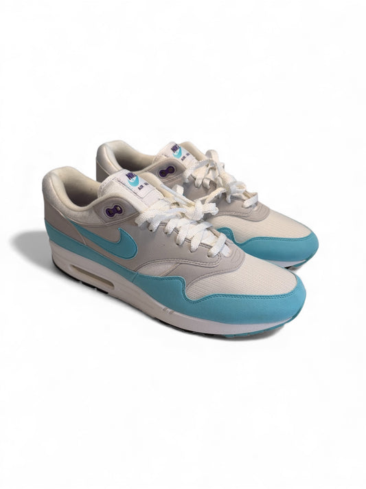 Nike Air Max 1 Anniversary Aqua (pre-Owned)