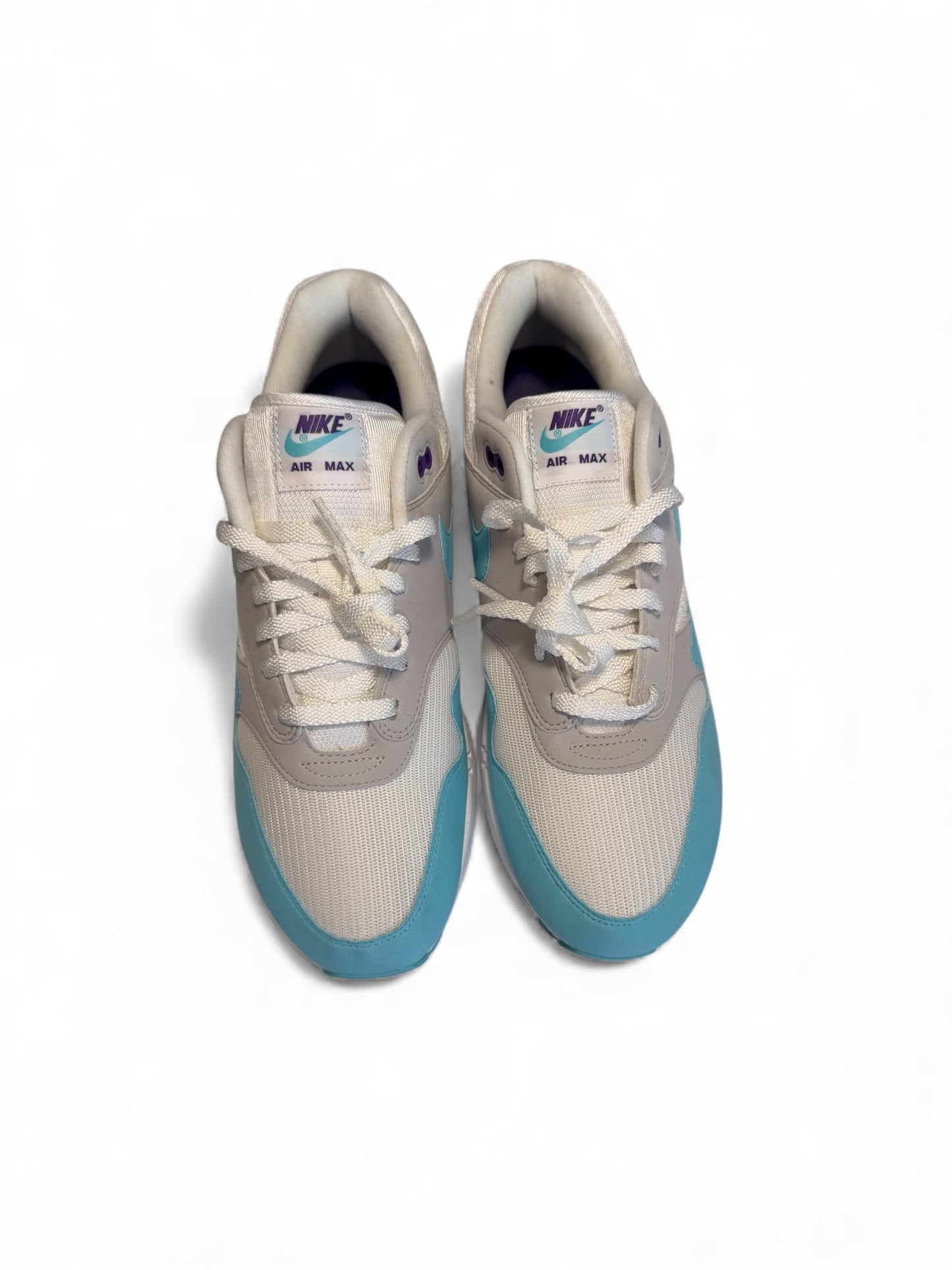Nike Air Max 1 Anniversary Aqua (pre-Owned)